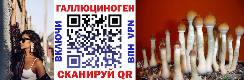 Купить  Лесной  Псилоцибиновые грибы ЛСД 